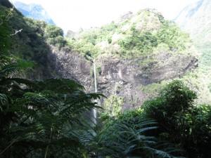 IMG_5510