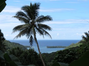 IMG_5707_redressee