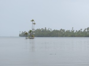 IMG_5859