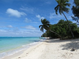 IMG_5955_redressee