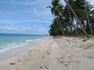 IMG_6000