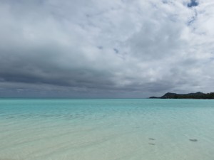 IMG_6008