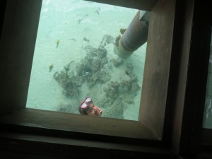 IMG_6258