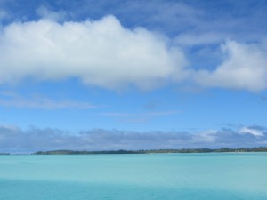 IMG_6286