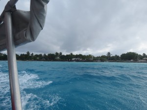 IMG_6434