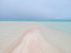 IMG_6446