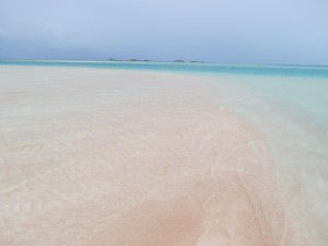 IMG_6461