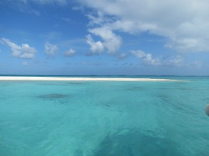 IMG_6478