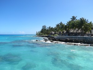 IMG_6566