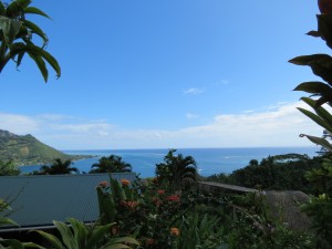 IMG_6719