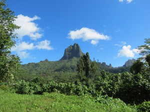 IMG_6775