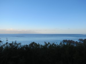 IMG_6800