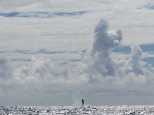 IMG_6977