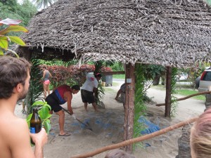 IMG_7609