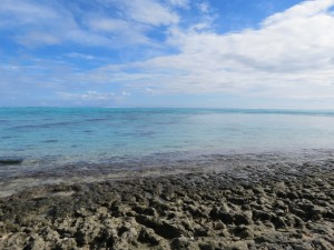 IMG_7618