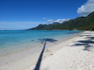 IMG_7629