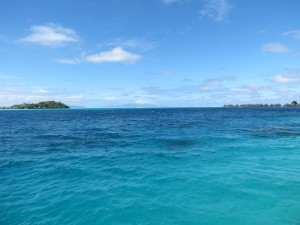 IMG_5922