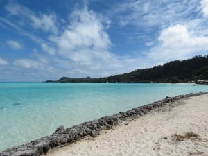 IMG_5941