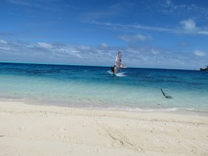 IMG_5950