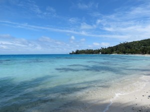 IMG_5952