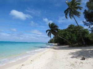 IMG_5955