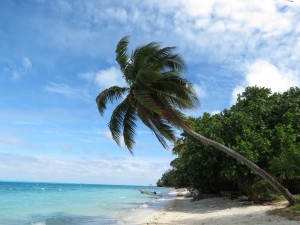 IMG_5971