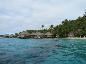 IMG_6055