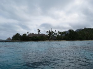 IMG_6082