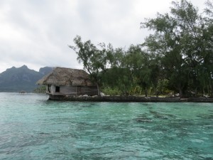IMG_6086