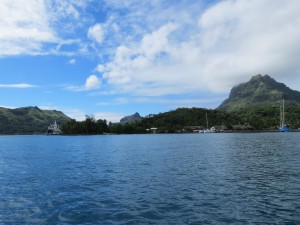 IMG_6106