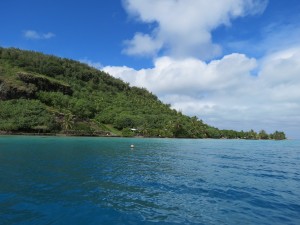 IMG_6120