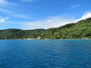 IMG_6122