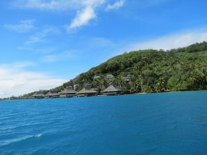 IMG_6128