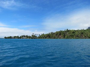 IMG_6130