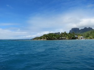 IMG_6133