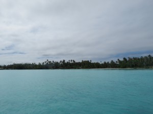 IMG_6145