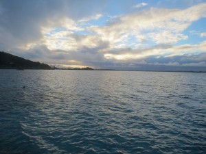 IMG_6240