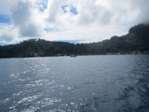IMG_6270