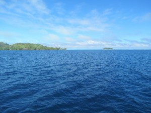 IMG_6274