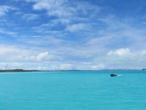 IMG_6282