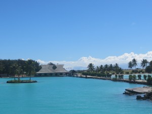 IMG_6284