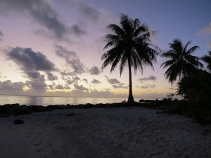 IMG_5633