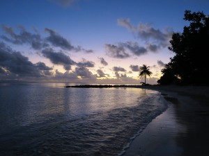 IMG_5650