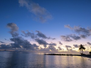 IMG_5652