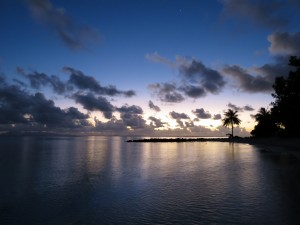 IMG_5655