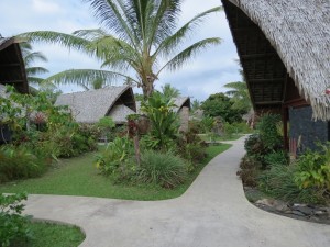 IMG_5669