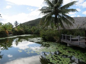 IMG_5676