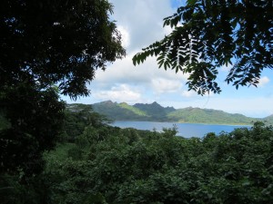 IMG_5703
