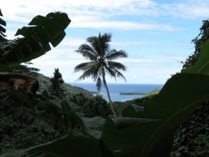 IMG_5717