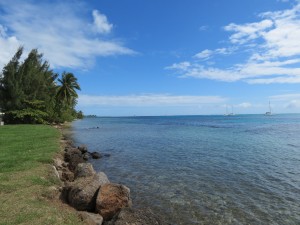 IMG_6654